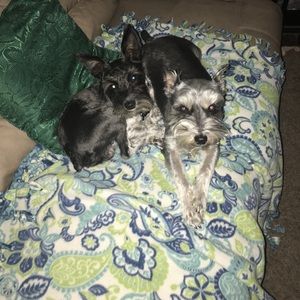 Meet your Posher, Linda faye